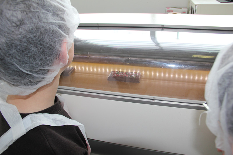 slideshow